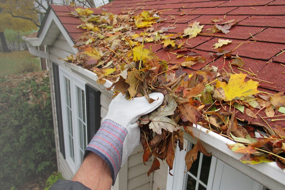 How often do you need to clean gutters? A gloved hand removes accumulated leaves and debris from a residential roof gutter to prevent water damage